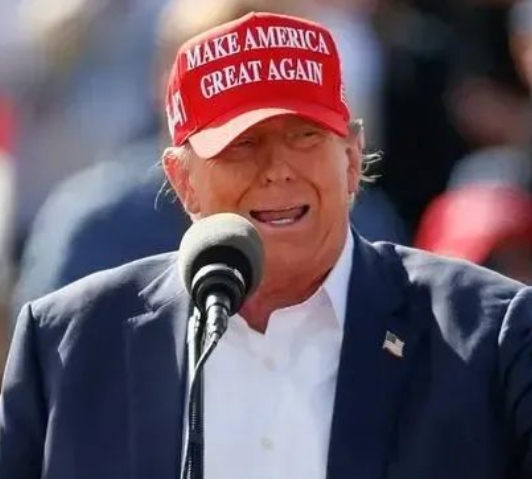 Trump: 100% import tariffs on this sector if he wins election